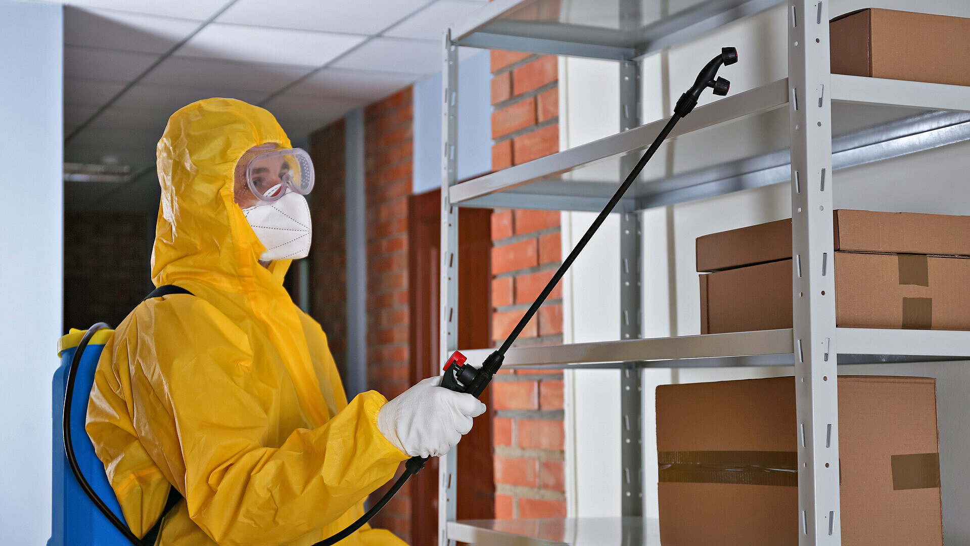 Schädlingsbekämpfer schützen wertvolle Waren - DVZ